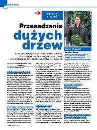 Przesadzanie dużych drzew. Pytania o ogród
